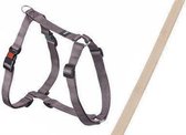 [BR_181301] ArtSportPlus Tuig 25mm 65-100cm beige