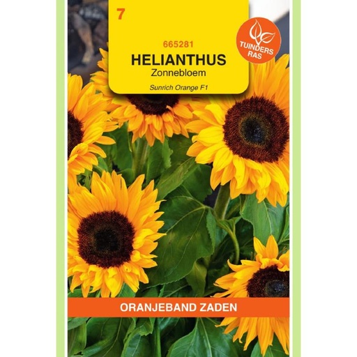 [665281] OBZ Helianthus, Zonnebloem Sunrich Orange F1