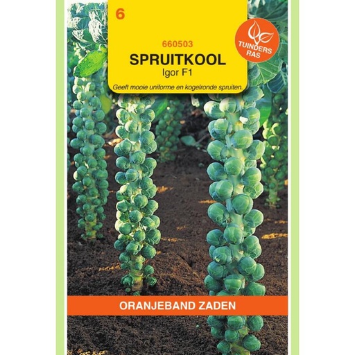 [660503] OBZ Spruitkool Igor F1