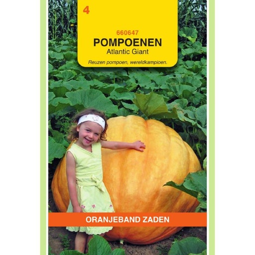 [660647] OBZ Pompoenen Atlantic Giant