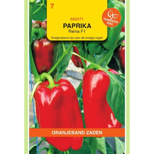 [660571] OBZ Paprika Reina F1