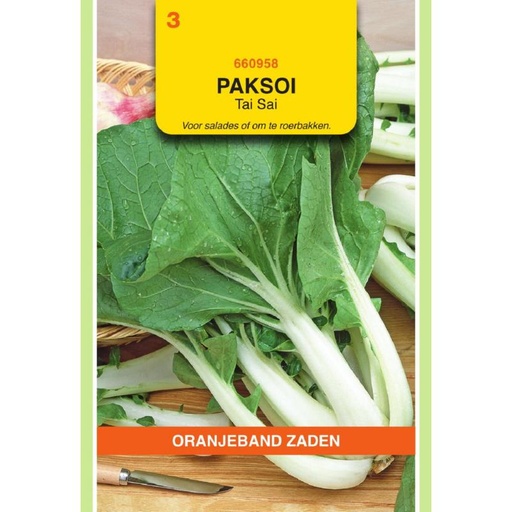 [660958] OBZ Paksoi Tai Sai