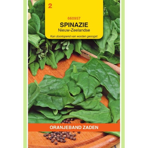 [BR_181370] OBZ Spinazie Nieuw-Zeelandse