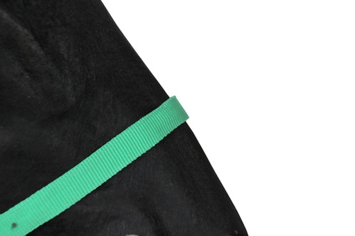 [BR_182517] Halster Classic Groen Pony