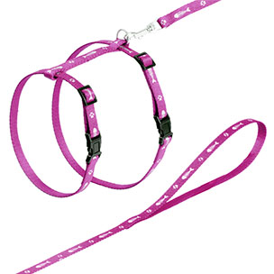 [BR_182690] Asp kattentuig+lijn fischbones. 106cm