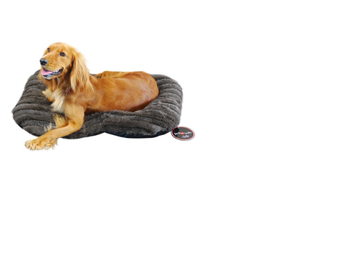 [BR_183017] JACK AND VANILLA - SOFTY DOG CUSHION
