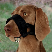 [19282] Muzzle loop, nylon, XL, black