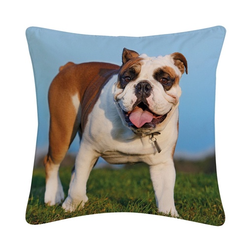 [BR_183886] Kussen Bulldog