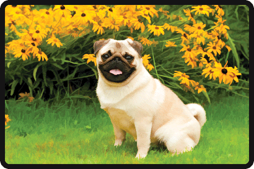 [BR_183904] Mat Pug