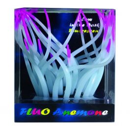 [BR_183978] FLUO ANEMONE ROSE