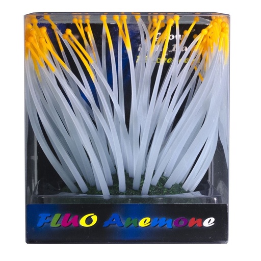 [BR_183982] FLUO ANEMONE ORANJE