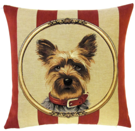 [BR_184422] 5302 fifi hondje 45x45