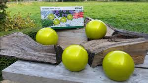 [BR_184811] # Terracotta bollen tuinbollen doos.