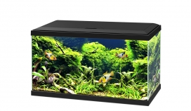 [BR_192356] # Ciano AQUARIUM 60 LED CF80 60x30x41cm zwart