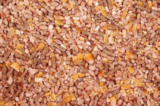 [10267] Goldmix Scharrelmix 20kg  graan en brokjes