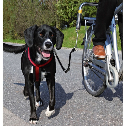 [1287] Fiets-set voor grote honden