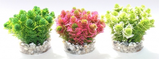 [BR_193384] Sydeco Amazone Moss 8cm