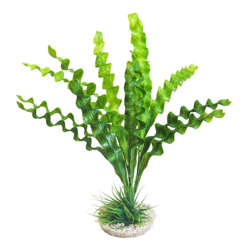 [BR_193387] Sydeco Aponogeton Plant 31cm