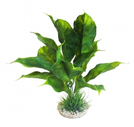[BR_193398] Sydeco Anubias Plant 28cm