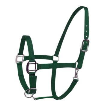 [BR_193441] Halster Classic groen mini