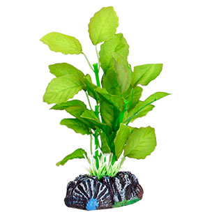 [BR_193917] Aq Plant zijde brasil plant3 s