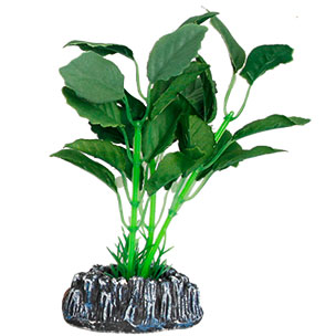 [BR_193918] Aq Plant zijde brasil plant4 s