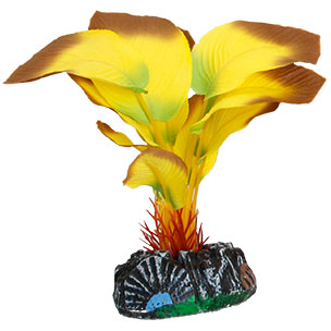 [BR_193923] Aq Plant zijde tanzania plant5 s