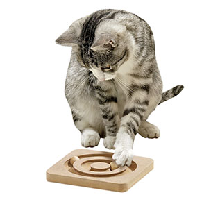 [BR_194059] KITTY BRAIN TRAIN CIRKEL 19X19CM