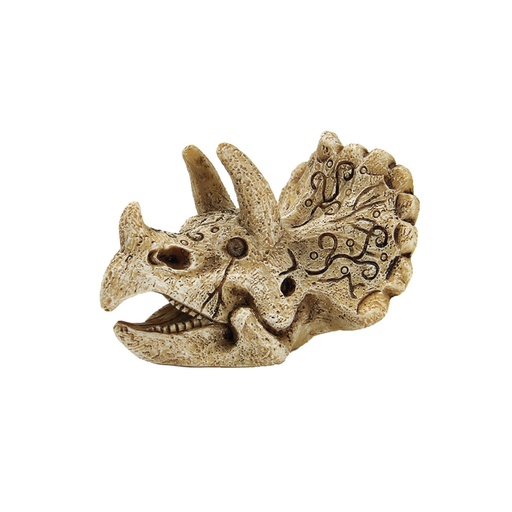 [BR_194280] SF SKULL TRICERATOPS S