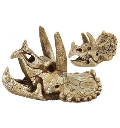 [BR_194281] SF SKULL TRICERATOPS M