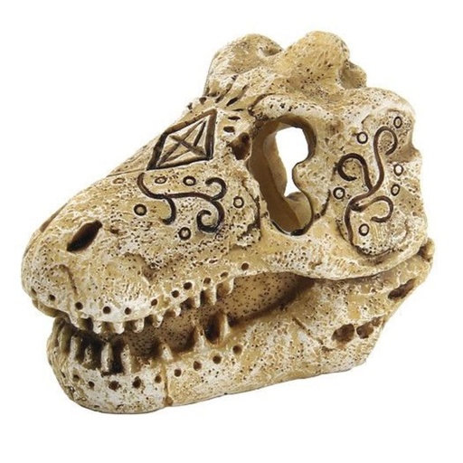 [BR_194282] SF SKULL T REX S