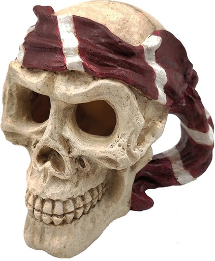 [BR_194285] SF SKULL RED PIRATE