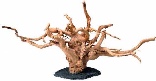 [BR_194294] SPIDER WOOD ON ROCK M (30-40CM)
