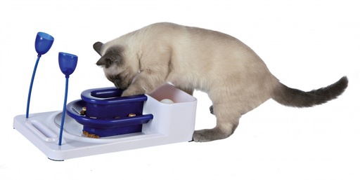 [BR_198407] Activity center fantasy bord kat 21*34cm