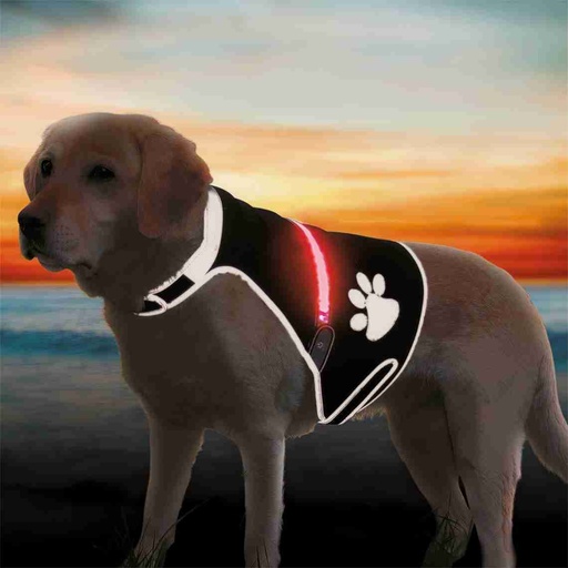[BR_198423] USB Flash Veiligheidsvest, M: 42–62 cm, zwart