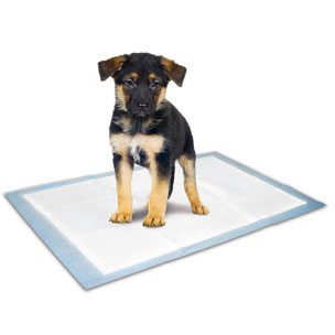 [517528] PUPPY TRAININGSMAT M 100ST 60x45CM