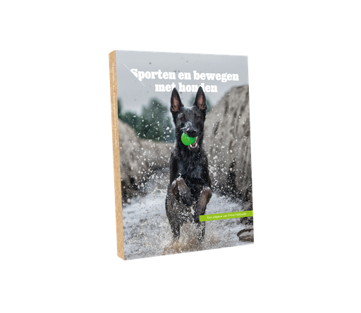 [BR_198892] 'Sporten en bewegen met honden
