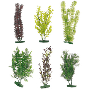 [BR_199292] AQ. PLANT ASSORTIMENT - XL