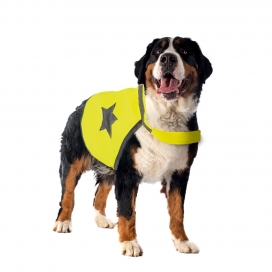 [BR_200431] Veiligheidsjasje Fluo 40cm neon geel