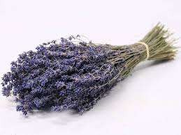 [BR_200436] # Bosjes Lavendel 42 gr knaagdier