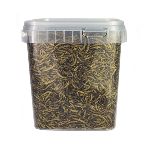[BR_200437] Meelwormen voor buitenvogels 2,5 L /  505 gr.