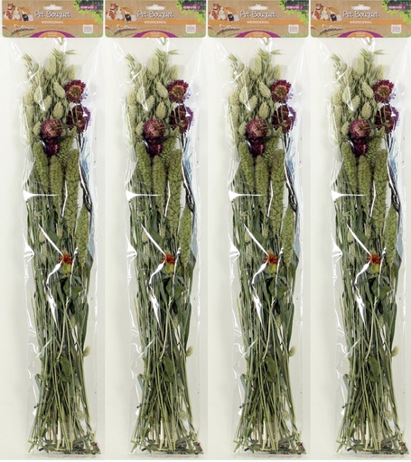 [BR_200508] Pet Bouquet - Weidegewas