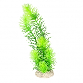 [BR_201032] Plant Hornwort L donkergroen