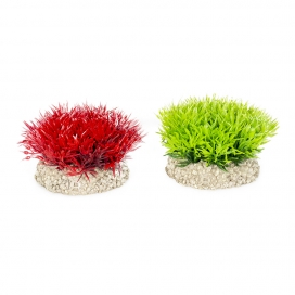 [242/457801] Plant Crystalwort Moss S gemengde kleuren