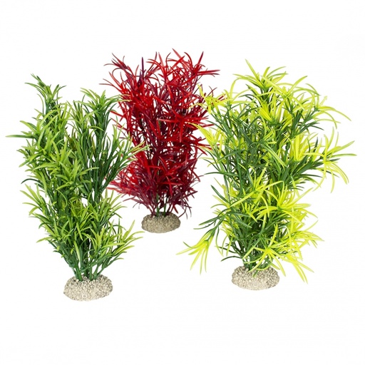 [BR_201041] Plant Hydrilla L - Natural gemengde kleuren