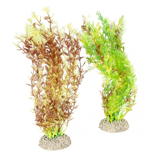 [BR_201042] Plant Egeria Densa M gemengde kleuren