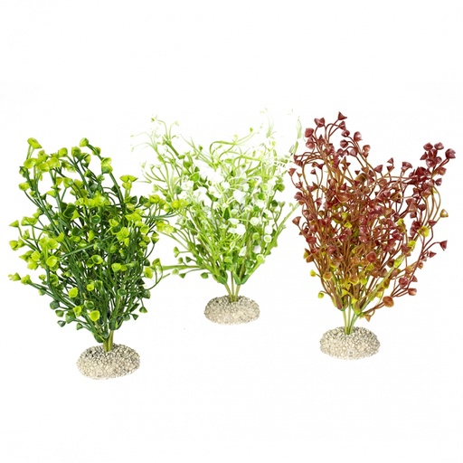 [BR_201043] Plant Bacopa M gemengde kleuren
