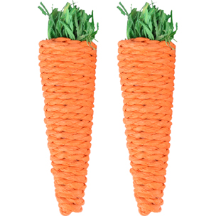 [210237] KS LEGOU WORTEL ORANJE 2 STUKS 13CM