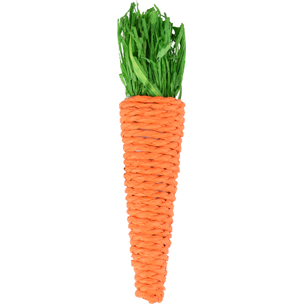 [210236] KS LEGOU WORTEL ORANJE 1STUK 13CM