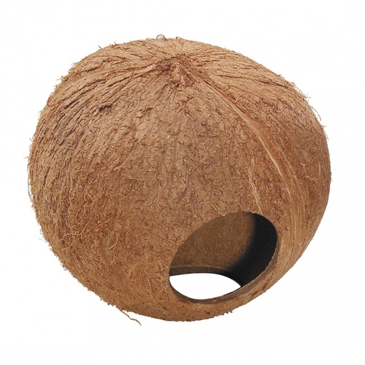 [BR_201428] COCONUT GLOBEHOUSE 130MM